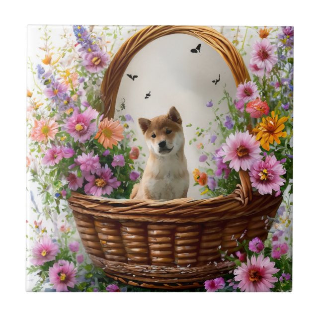 Shiba Inu Puppy (Frente)