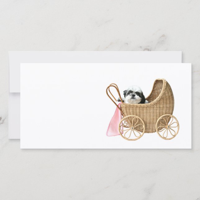 Shih Tzu baby buggy (Frente)