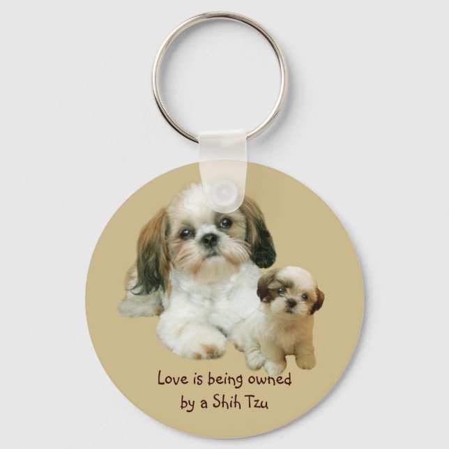 Shih Tzu Buddies Chaveiro (Frente)