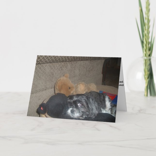 Shih Tzu Cartão de condolências (Frente)