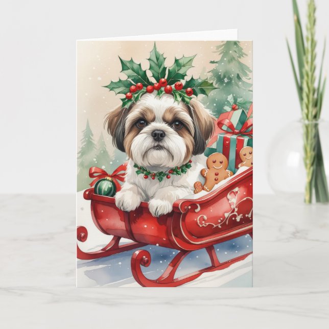 Shih Tzu Cartão de Saudação de Natal (Frente)