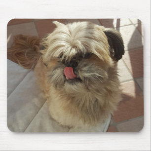 Shih Tzu dog mousepad