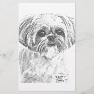 Shih Tzu Drawing