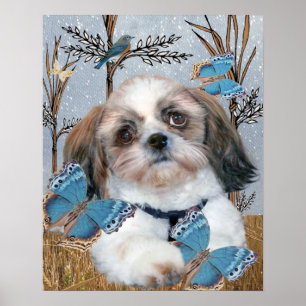 Shih Tzu e impressão das borboletas