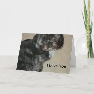 Shih Tzu I Te Amo Cartões