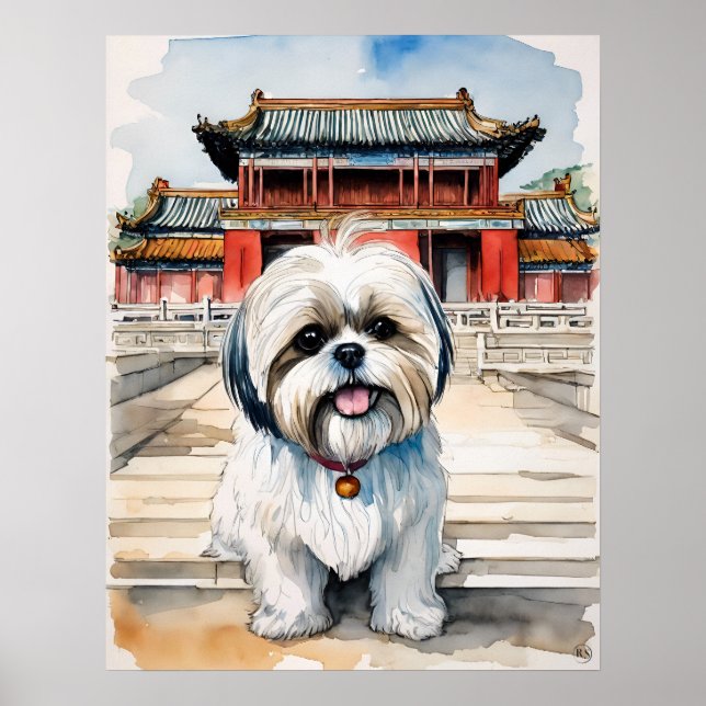 Shih Tzu - Impressão de Arte Canina (Frente)