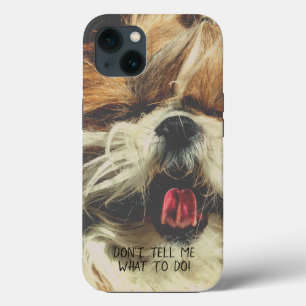 Shih tzu lingua engraçada Não me diga o que faze