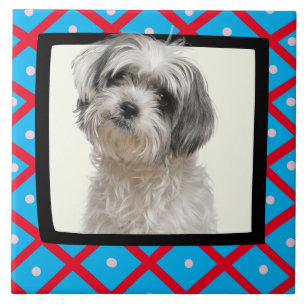 Shih Tzu personalizado fotoframe Azulejo cerâmico