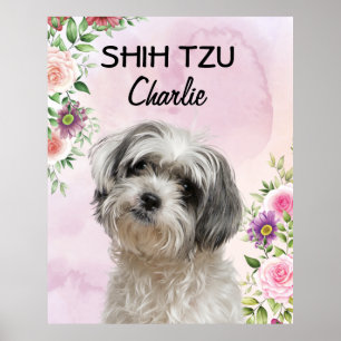 Shih Tzu Personalizado Poster
