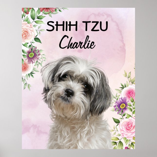 Shih Tzu Personalizado Poster (Frente)