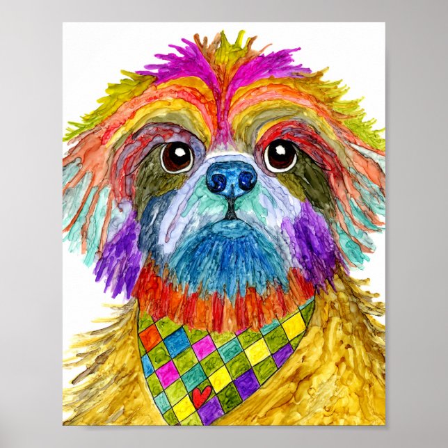 Shih Tzu Poster 8"x10", bonito e colorido (Frente)