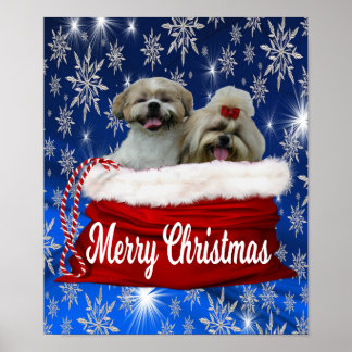 Shih tzu Poster Natal