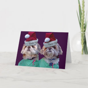 Shih Tzues Shih dois cartões do Natal