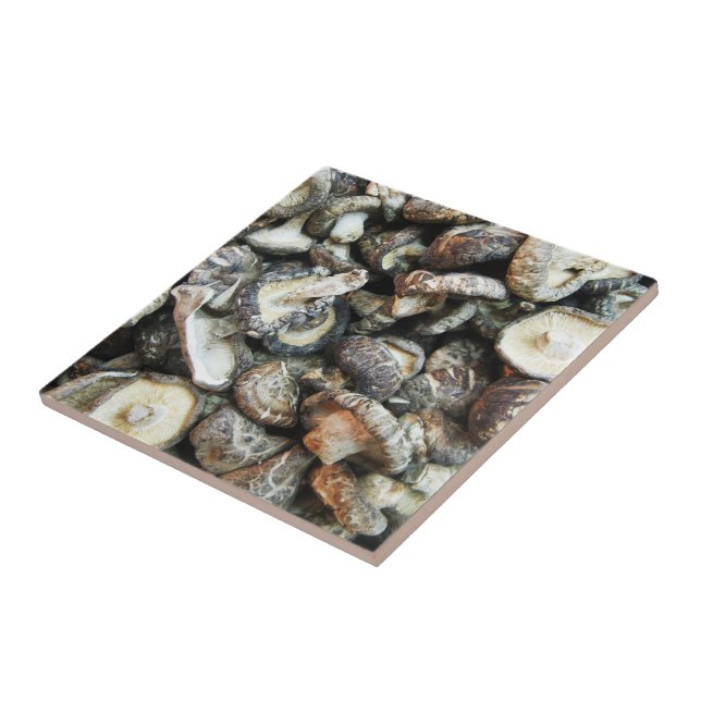 Shiitake Mushroom (Lateral)