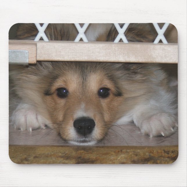 Shiloh Mousepad (Frente)