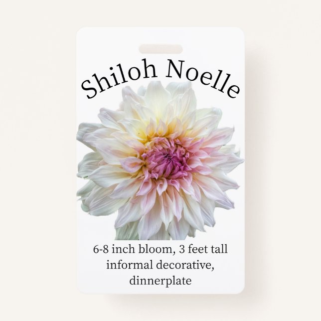 Shiloh Noelle Dahlia ID Crachá (Frente)