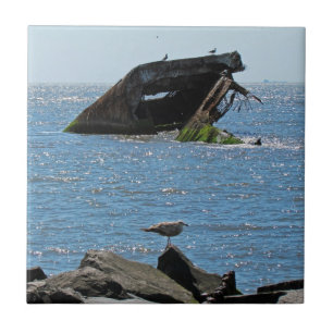 Shipwreck de Cape May