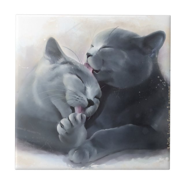 Shorthair britânico (Frente)