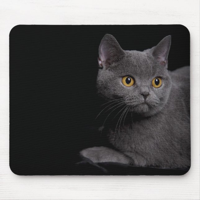 Shorthair Mousepad Britânico (Frente)