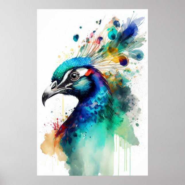 Show Your Colors - Peacock Poster Print (Frente)