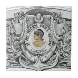 SI VIS PACEM PARA BELLUM