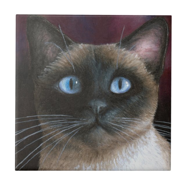 Siamese Cat 548 (Frente)