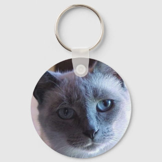 Siamese Cat chaveiro