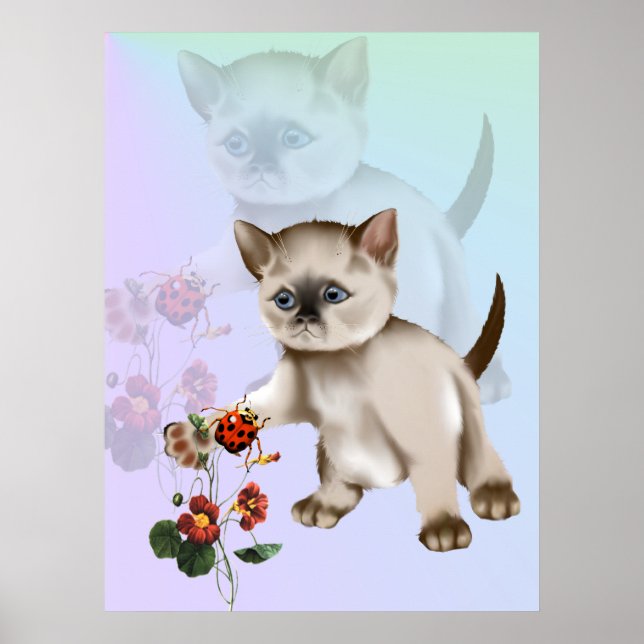 Siamese Kitten VS Ladybug Poster (Frente)