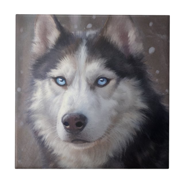 Siberian Husky (Frente)