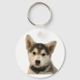 Siberian Husky Chaveiro
