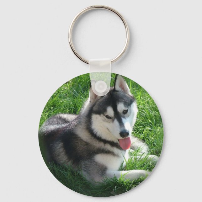 Siberian Husky Dog Chaveiro (Frente)