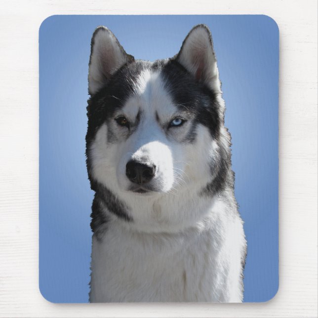 Siberian Husky Mousepad Gifts Malamute Sled Cães (Frente)
