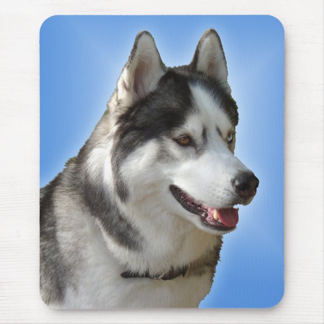 Siberian Husky Mousepad Gifts Malamute Sled Cães (Frente)