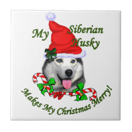 Siberian Husky Natal