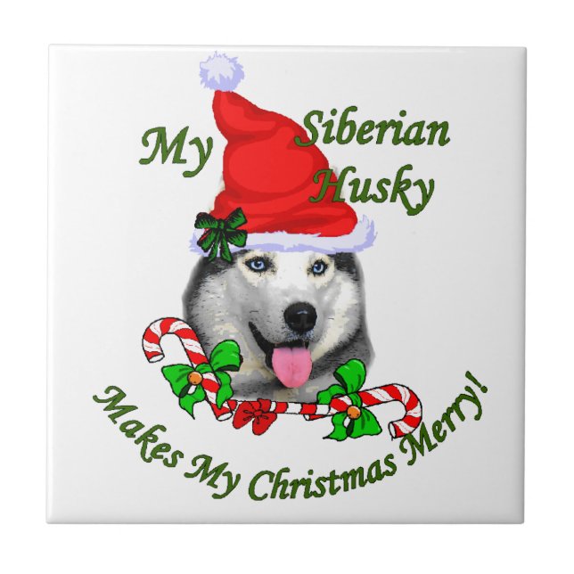 Siberian Husky Natal (Frente)