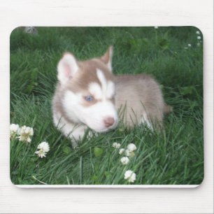 Siberian Husky Puppy Mousepad
