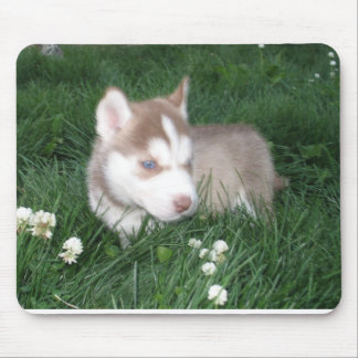 Siberian Husky Puppy Mousepad