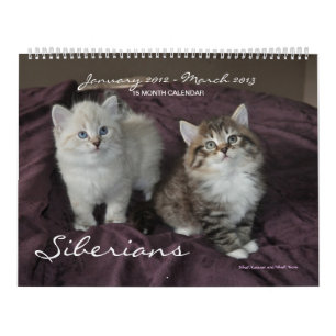 Siberians gatos calendário dos janeiro de 2014 at