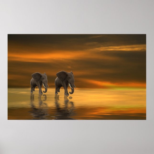 Siga-me dois Poster (Frente)