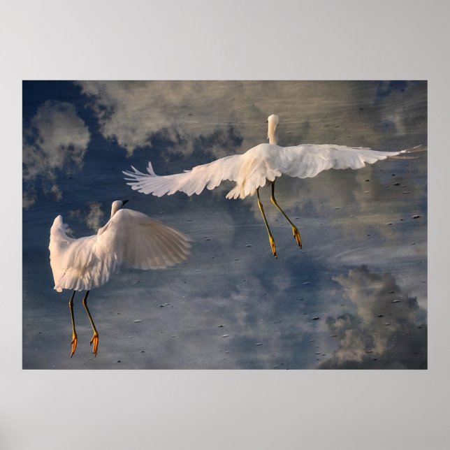 Siga-me Poster (Frente)