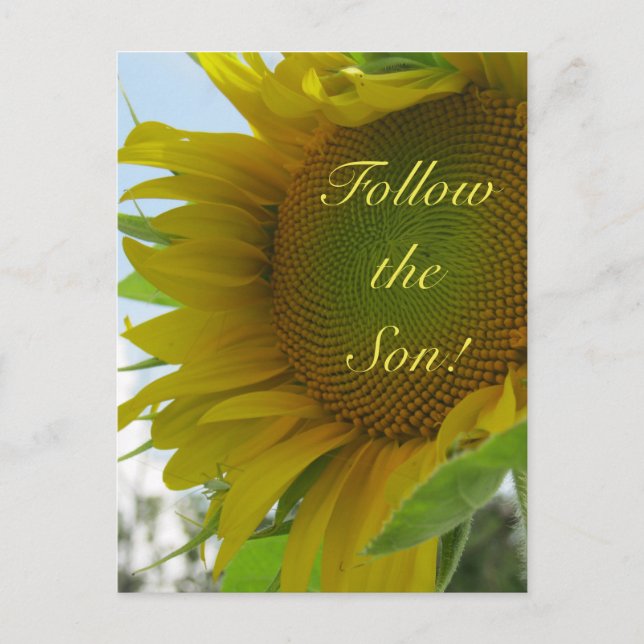Siga o Filho! Mensagem cristã em cartão postal (Frente)