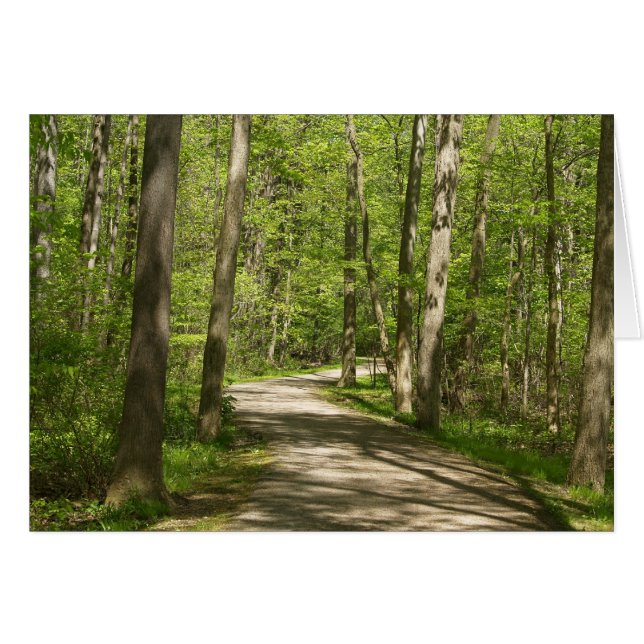 Siga o seu cartão de sonho (Frente Horizontal)