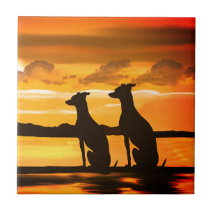 Sighons : Greyhound Sunrise