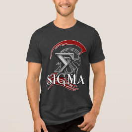 SIGMA 3b Men's Basic T-Shirt