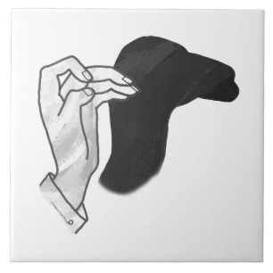 Silhouette Camel manual