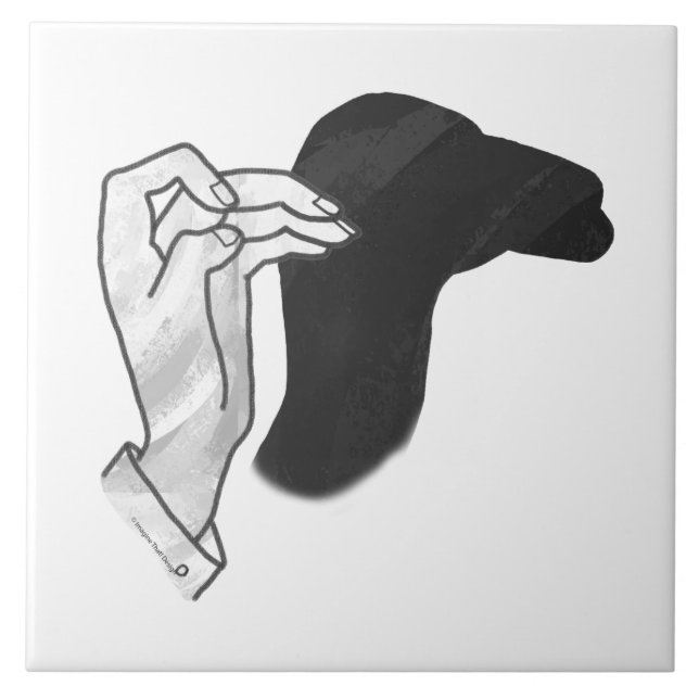 Silhouette Camel manual (Frente)