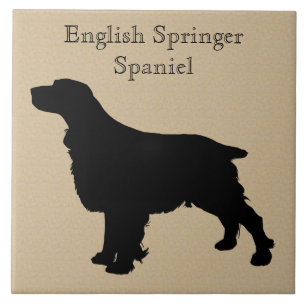 Silhouette do Cachorro Espanhol Inglês Springer