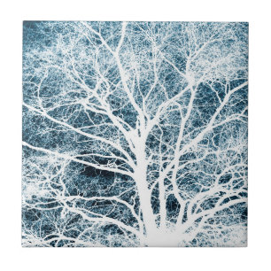 Silhueta de árvores
