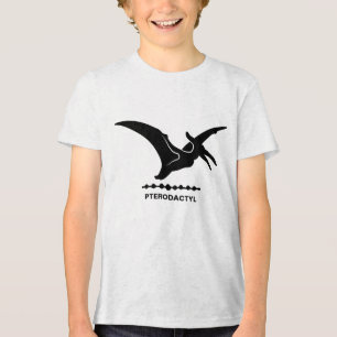 Silhueta de Dinossauro Pterodáctilo para Menino