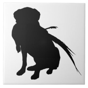 Silhueta de Labrador Retriever com faisão